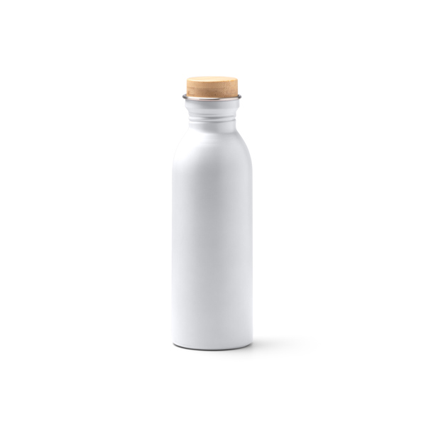RVS Drinkfles 650ml - 6