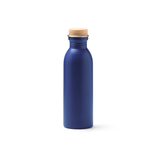 RVS Drinkfles 650ml - 10