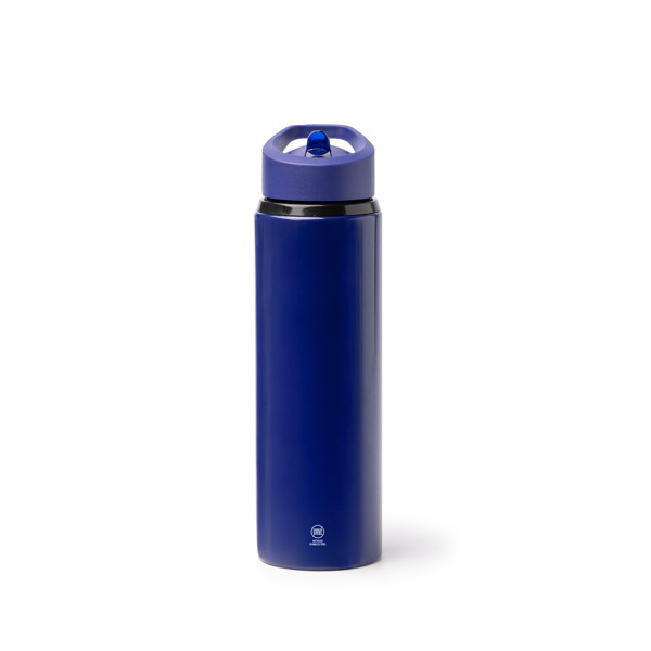 RVS Drinkfles Met Rietje 700ml - 6