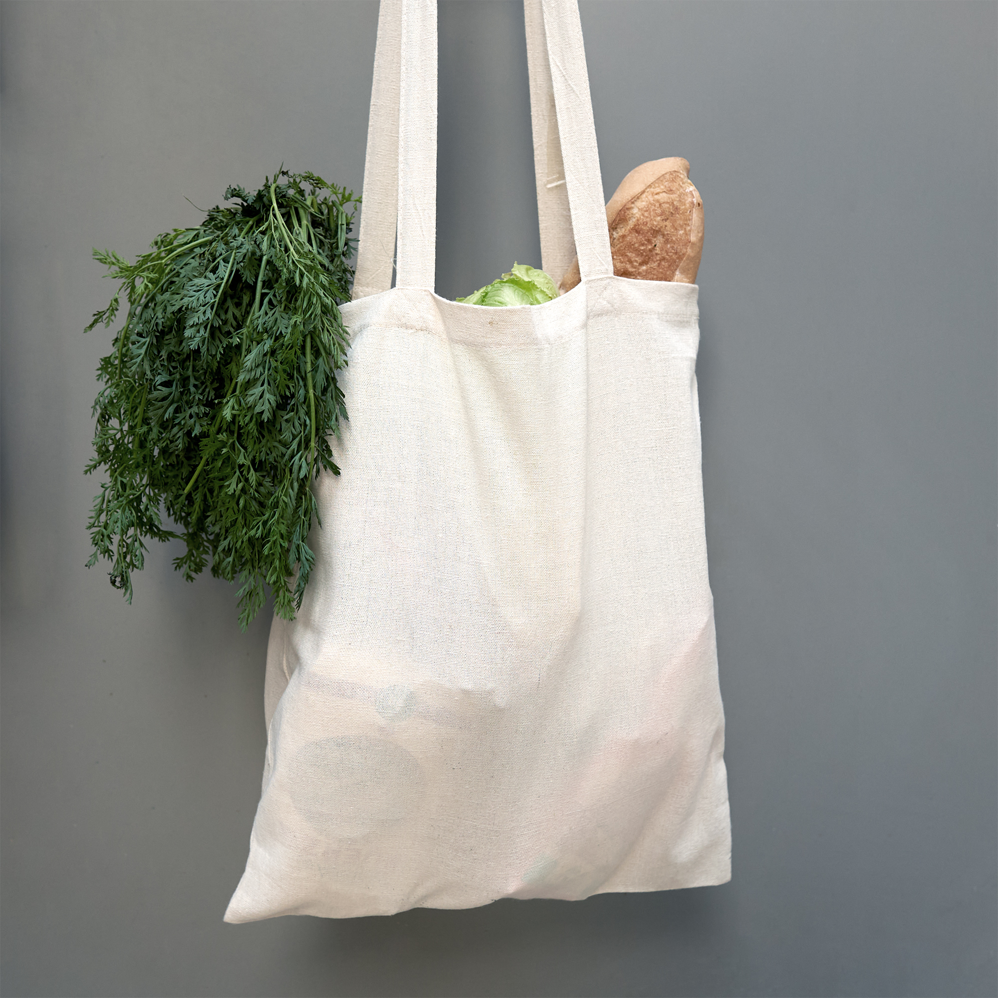 Eco-Shopper - 4
