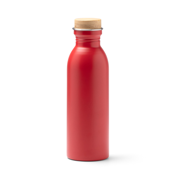 RVS Drinkfles 650ml - 1
